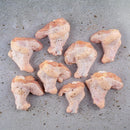 COXINHA DA ASA SWIFT 1KG