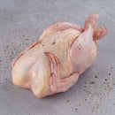 GALETO SWIFT CONGELADO DE 0,5 KG A 1,1 KG