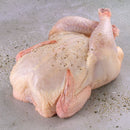 FRANGO INTEIRO SWIFT DE 1,5 KG A 3,4 KG