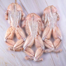 RÃ CONGELADA SWIFT 500G