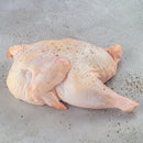 MEIA GALINHA SWIFT DE 1,3KG A 2,1KG