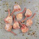 TULIPA INVERTIDA TEMPERADA SWIFT 300G